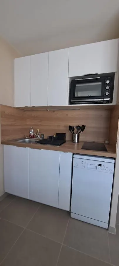 Appart T2 Standing Tout Confort Avec Balcon - Parking En Option Lyon